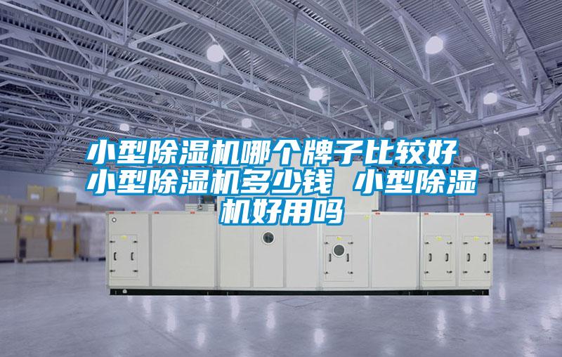 小型除濕機哪個(gè)牌子比較好 小型除濕機多少錢(qián) 小型除濕機好用嗎