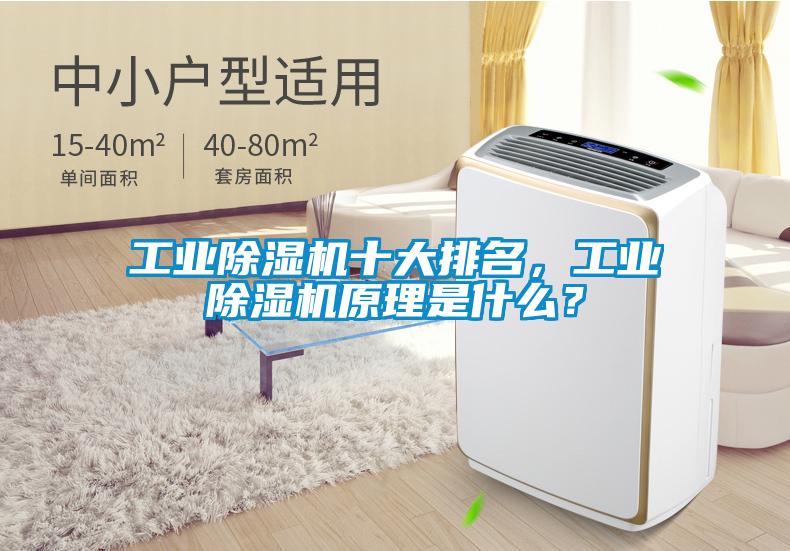 工業(yè)除濕機十大排名，工業(yè)除濕機原理是什么？