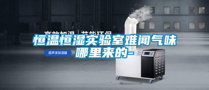 恒溫恒濕實(shí)驗室難聞氣味哪里來(lái)的-