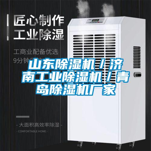 山東除濕機／濟南工業(yè)除濕機／青島除濕機廠(chǎng)家