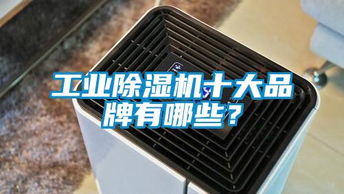 工業(yè)除濕機十大品牌有哪些？