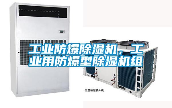 工業(yè)防爆除濕機，工業(yè)用防爆型除濕機組