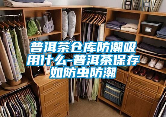 普洱茶倉庫防潮吸用什么-普洱茶保存如防蟲(chóng)防潮