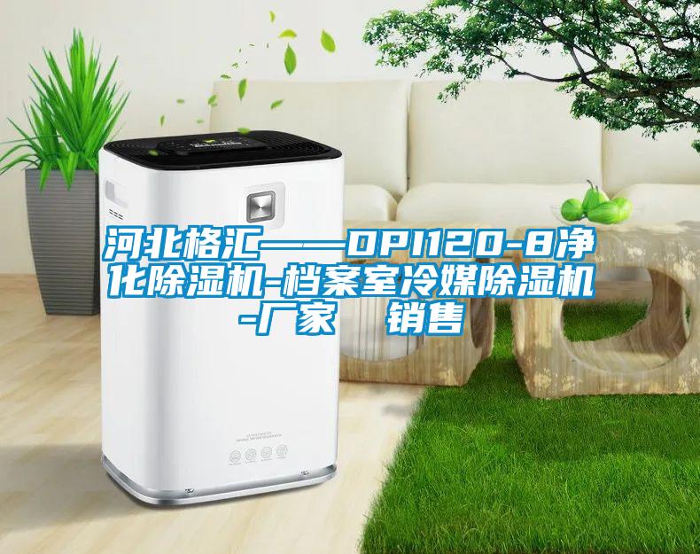 河北格匯——DPI120-8凈化除濕機-檔案室冷媒除濕機-廠(chǎng)家  銷(xiāo)售