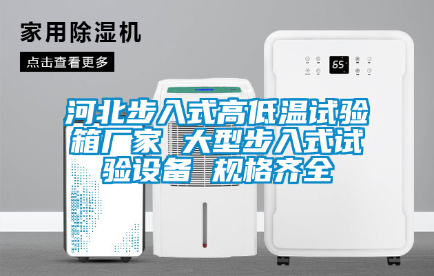河北步入式高低溫試驗箱廠(chǎng)家 大型步入式試驗設備 規格齊全