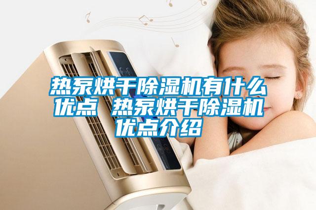 熱泵烘干除濕機有什么優(yōu)點(diǎn) 熱泵烘干除濕機優(yōu)點(diǎn)介紹