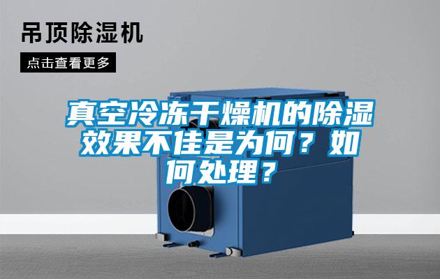 真空冷凍干燥機的除濕效果不佳是為何？如何處理？