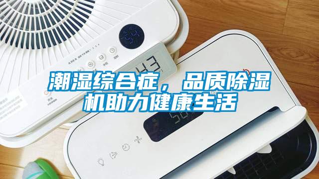 潮濕綜合癥，品質(zhì)除濕機助力健康生活