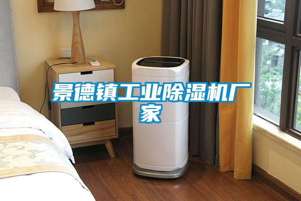景德鎮工業(yè)除濕機廠(chǎng)家