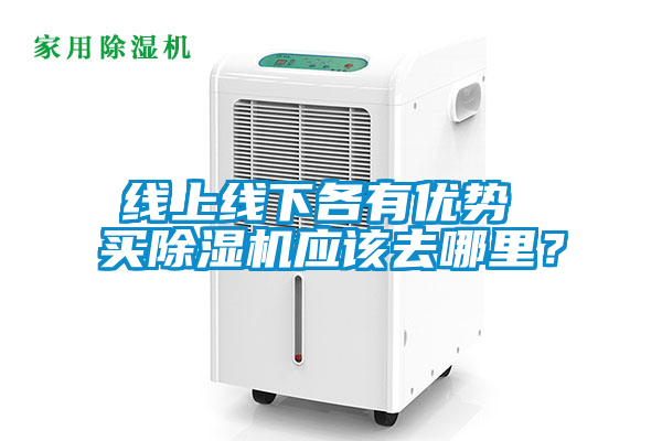 線(xiàn)上線(xiàn)下各有優(yōu)勢 買(mǎi)除濕機應該去哪里？