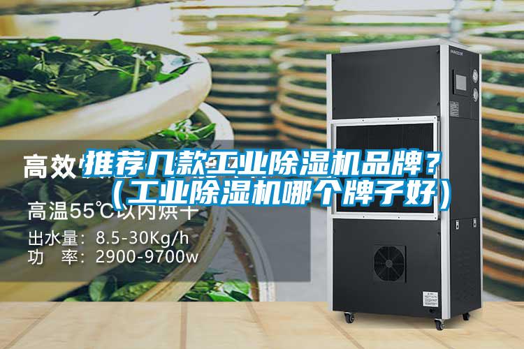 推薦幾款工業(yè)除濕機品牌？（工業(yè)除濕機哪個(gè)牌子好）