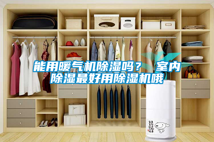能用暖氣機除濕嗎？ 室內除濕最好用除濕機哦