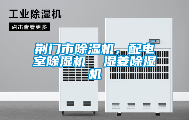 荊門(mén)市除濕機，配電室除濕機  濕菱除濕機