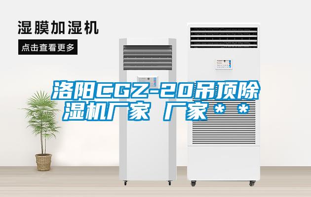洛陽(yáng)CGZ-20吊頂除濕機廠(chǎng)家 廠(chǎng)家＊＊
