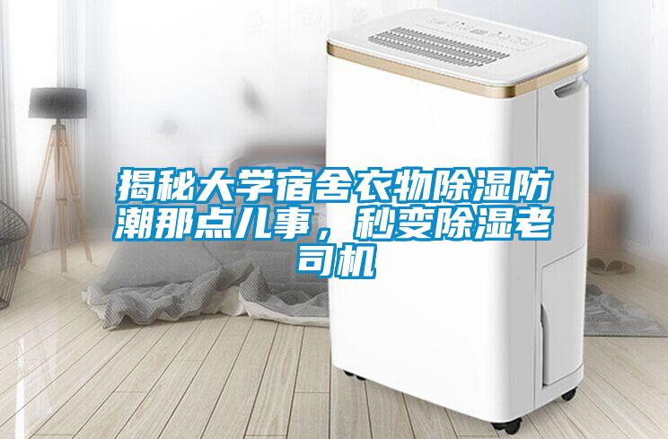 揭秘大學(xué)宿舍衣物除濕防潮那點(diǎn)兒事，秒變除濕老司機