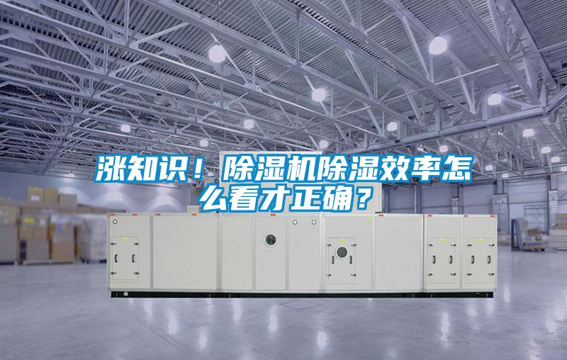 漲知識！除濕機除濕效率怎么看才正確？