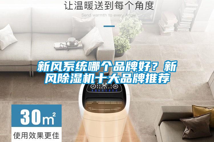 新風(fēng)系統哪個(gè)品牌好？新風(fēng)除濕機十大品牌推薦