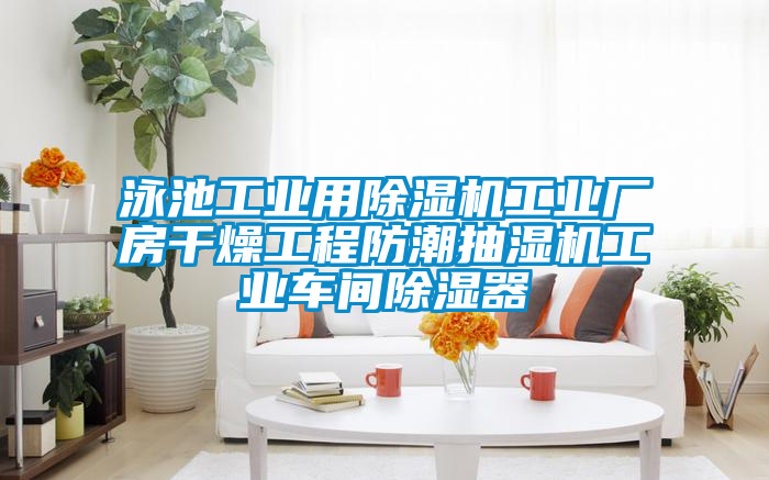 泳池工業(yè)用除濕機工業(yè)廠(chǎng)房干燥工程防潮抽濕機工業(yè)車(chē)間除濕器