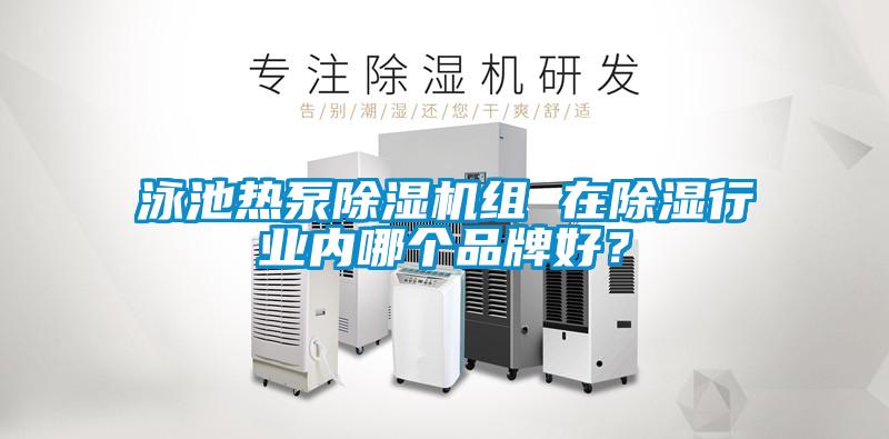 泳池熱泵除濕機組 在除濕行業(yè)內哪個(gè)品牌好？