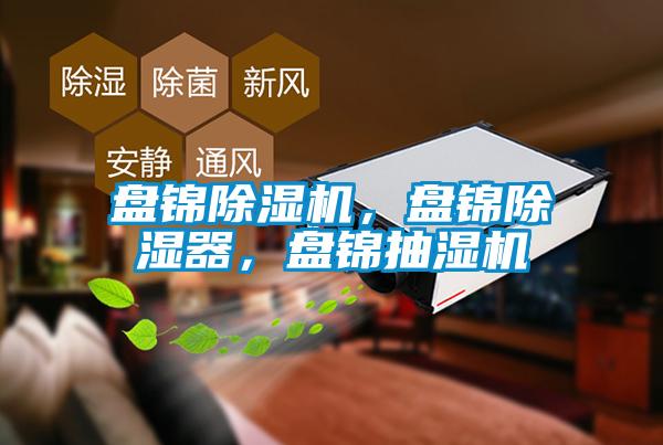 盤(pán)錦除濕機，盤(pán)錦除濕器，盤(pán)錦抽濕機