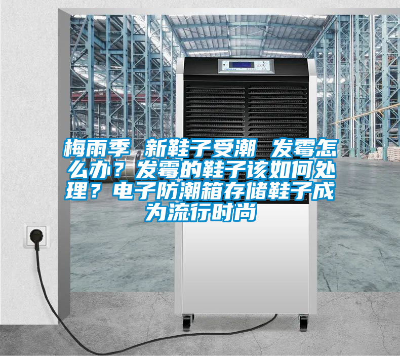 梅雨季 新鞋子受潮 發(fā)霉怎么辦？發(fā)霉的鞋子該如何處理？電子防潮箱存儲鞋子成為流行時(shí)尚