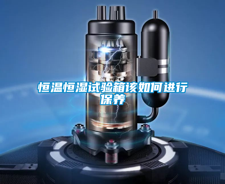 恒溫恒濕試驗箱該如何進(jìn)行保養