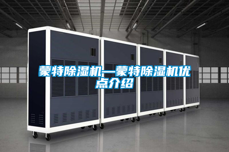 蒙特除濕機—蒙特除濕機優(yōu)點(diǎn)介紹