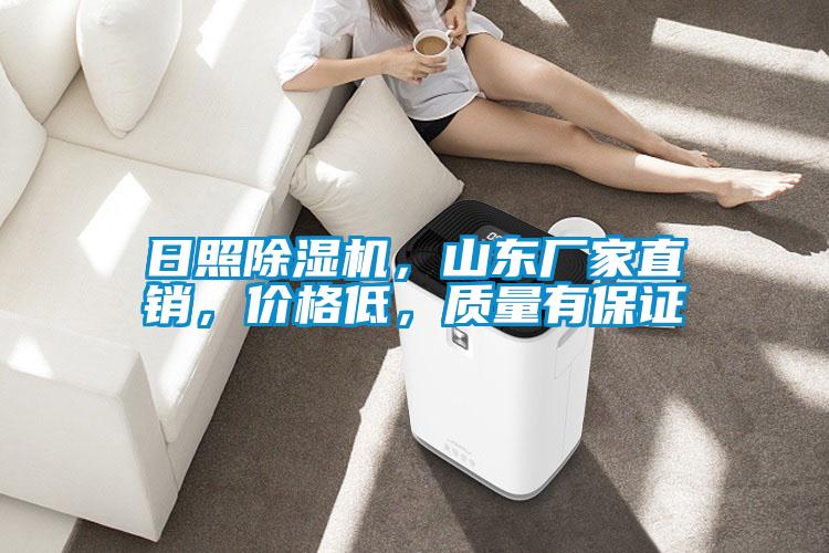 日照除濕機，山東廠(chǎng)家直銷(xiāo)，價(jià)格低，質(zhì)量有保證