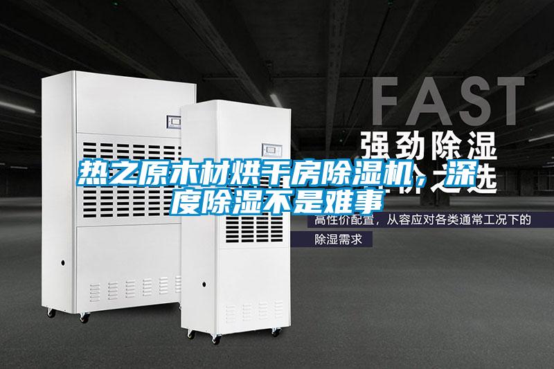 熱之原木材烘干房除濕機，深度除濕不是難事