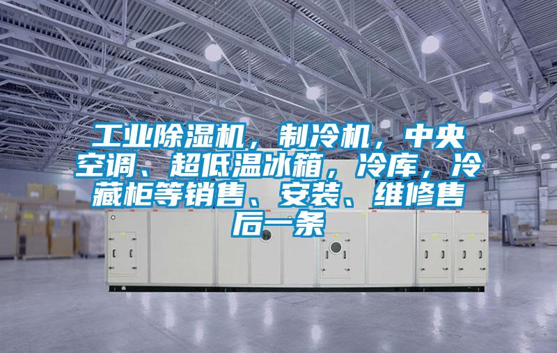 工業(yè)除濕機，制冷機，中央空調、超低溫冰箱，冷庫，冷藏柜等銷(xiāo)售、安裝、維修售后一條