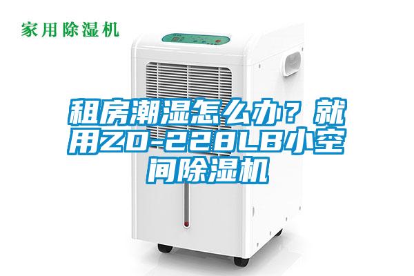 租房潮濕怎么辦？就用ZD-228LB小空間除濕機