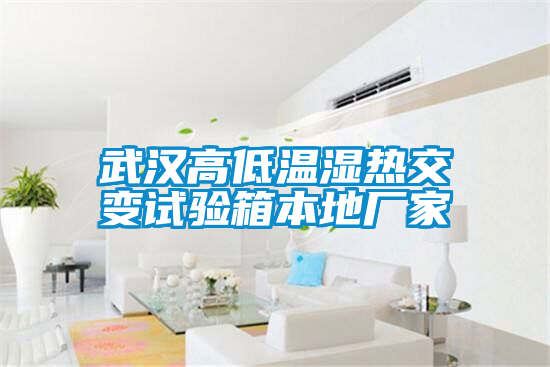 武漢高低溫濕熱交變試驗箱本地廠(chǎng)家