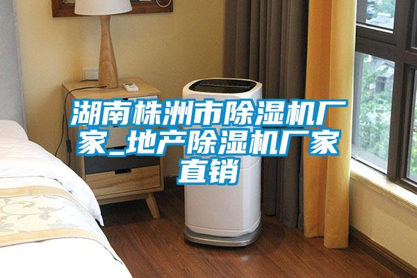 湖南株洲市除濕機廠(chǎng)家_地產(chǎn)除濕機廠(chǎng)家直銷(xiāo)