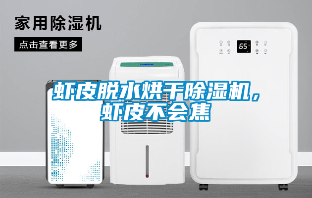 蝦皮脫水烘干除濕機，蝦皮不會(huì )焦