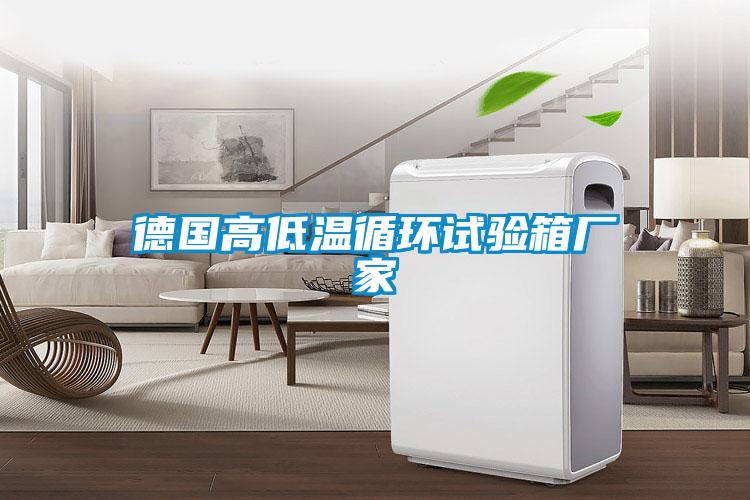 德國高低溫循環(huán)試驗箱廠(chǎng)家