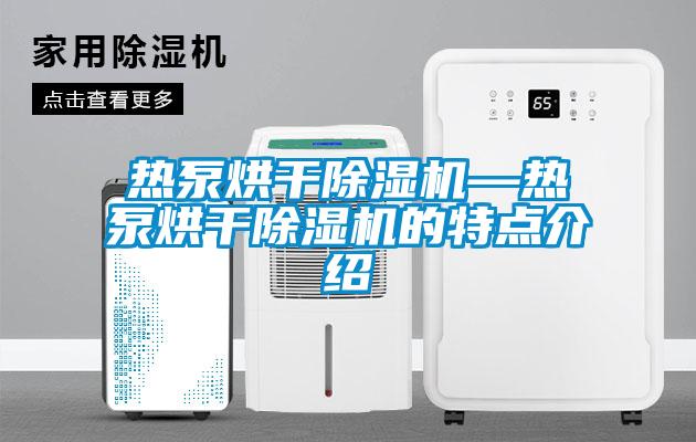 熱泵烘干除濕機—熱泵烘干除濕機的特點(diǎn)介紹