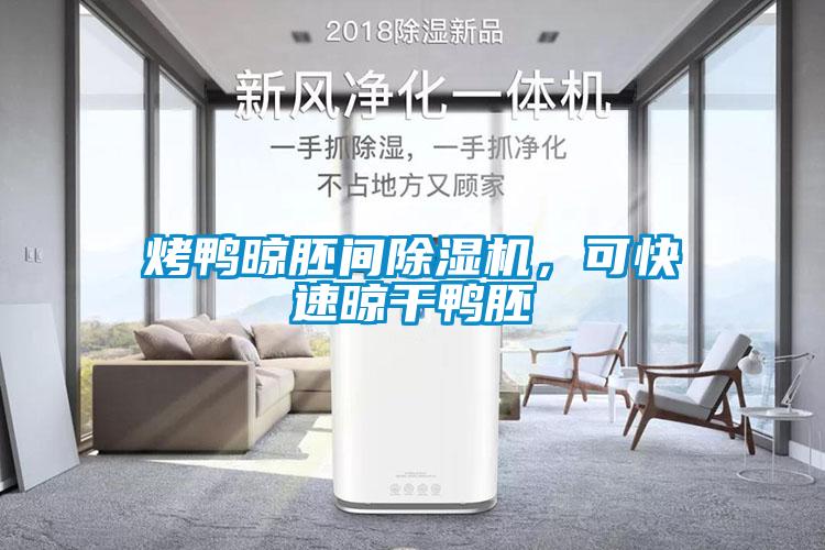 烤鴨晾胚間除濕機，可快速晾干鴨胚