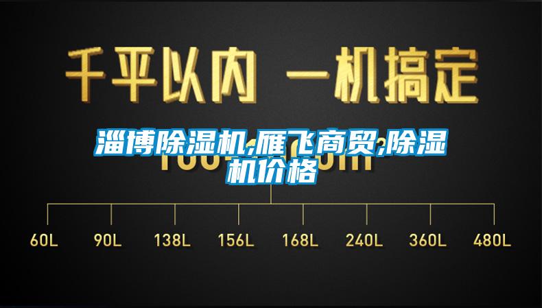淄博除濕機,雁飛商貿,除濕機價(jià)格