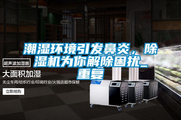 潮濕環(huán)境引發(fā)鼻炎，除濕機為你解除困擾_重復