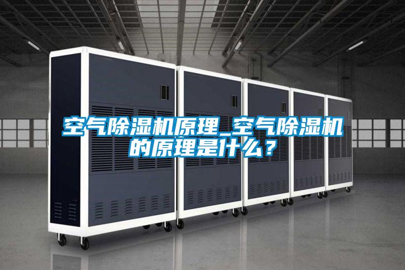 空氣除濕機原理_空氣除濕機的原理是什么？