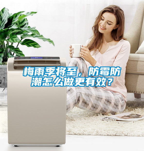 梅雨季將至，防霉防潮怎么做更有效？