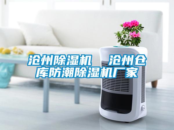 滄州除濕機  滄州倉庫防潮除濕機廠(chǎng)家