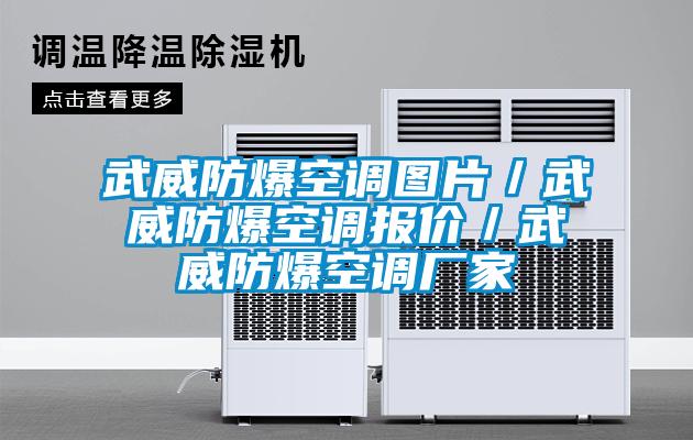 武威防爆空調圖片／武威防爆空調報價(jià)／武威防爆空調廠(chǎng)家