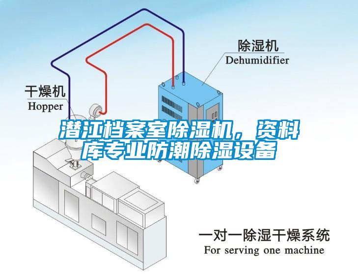 潛江檔案室除濕機，資料庫專(zhuān)業(yè)防潮除濕設備
