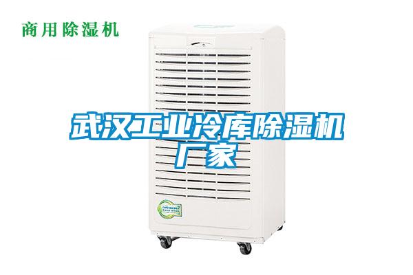 武漢工業(yè)冷庫除濕機廠(chǎng)家