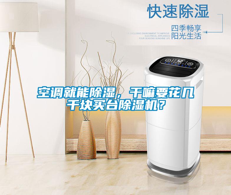 空調就能除濕，干嘛要花幾千塊買(mǎi)臺除濕機？