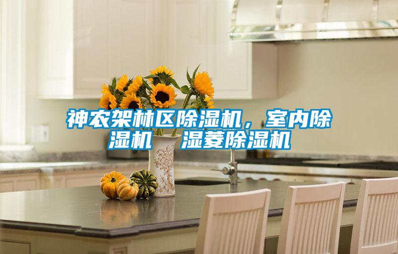 神農架林區除濕機，室內除濕機  濕菱除濕機
