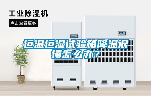 恒溫恒濕試驗箱降溫很慢怎么辦？
