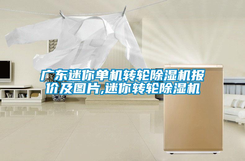 廣東迷你單機轉輪除濕機報價(jià)及圖片,迷你轉輪除濕機