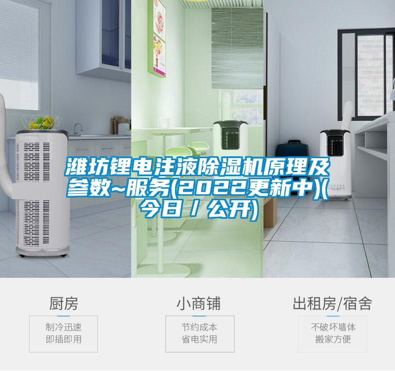 濰坊鋰電注液除濕機原理及參數~服務(wù)(2022更新中)(今日／公開(kāi))
